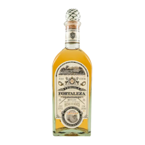 Fortaleza anejo